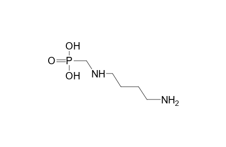 (4-AMINOBUTYL)AMINOMETHYLPHOSPHONIC ACID