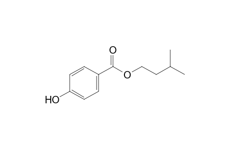 p-hydroxybenzoic acid, isopentyl ester