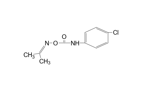 acetone, O-[(p-chlorophenyl)carbamoyl]oxime