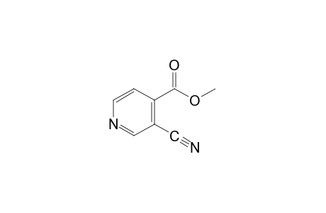 3-cyanoisonicotinic acid, methyl ester