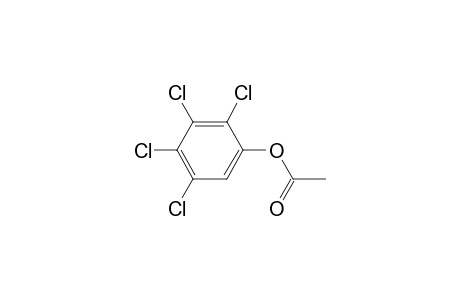 PHENOL, 2,3,4,5-TETRACHLORO-, ACETATE