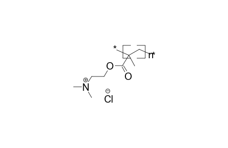 Poly(2-dimethylaminoethyl methacrylate hydrochloride)