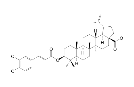 BETULINIC-ACID-3-BETA-CAFFEATE