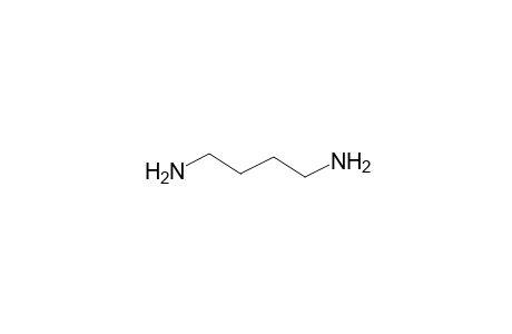 Putrescine (1,4-diaminobutane)