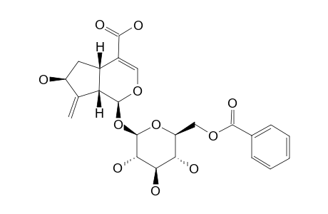 AQUATICOSIDE-C;6'-O-BENZOYL-GARDOSIDE