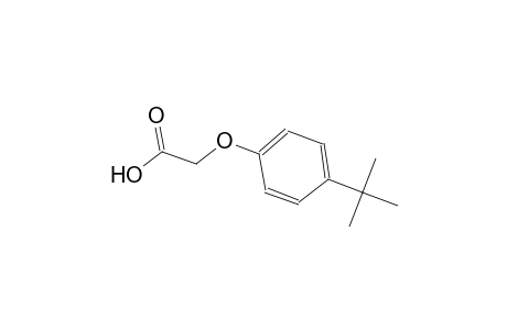 (p-tert-BUTYLPHENOXY)ACETIC ACID