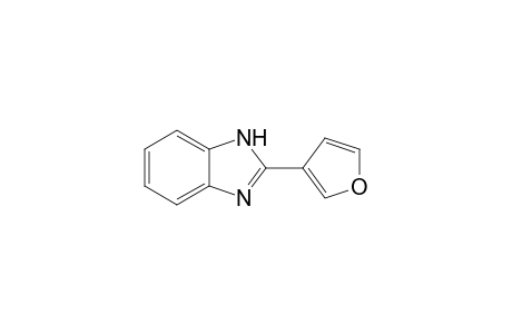 2-(3'-FURYL)-BENZIMIDAZOLE