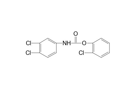 3,4-dichlorocarbanilic acid, o-chlorophenyl ester