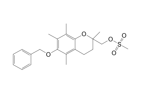 (2R/S)-[6-Benzyloxy-2,5,7,8-tetramethylchroman-2-ylmethyl]methane Sulfonate