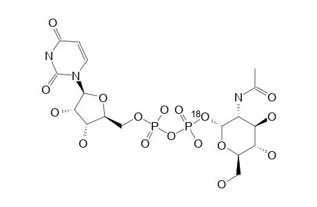 18O-LABELED-UDP-GLC-N-AC;URIDINE-5'-(2''-ACETAMIDO-2''-DEOXY-[1-18O]-ALPHA-D-GLUCOPYRANOSYL)-DIPHOSPHATE