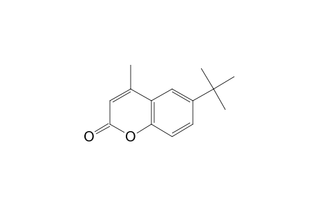 6-tert-BUTYL-4-METHYLCOUMARIN