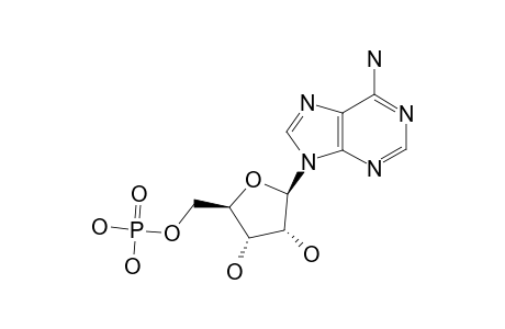 5'-Adenylic acid