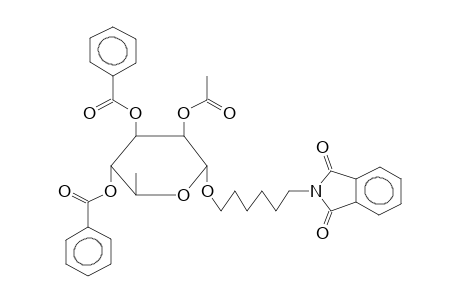 6-PHTHALIMIDOHEXYL 2-O-ACETYL-3,4-DI-O-BENZOYL-ALPHA-L-RHAMNOPYRANOSIDE