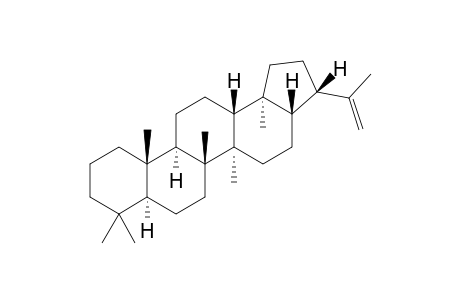 Hop-22(29)-ene