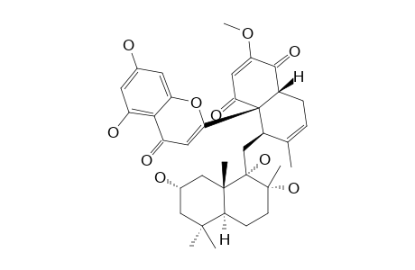 DICHROSTACHINE_G