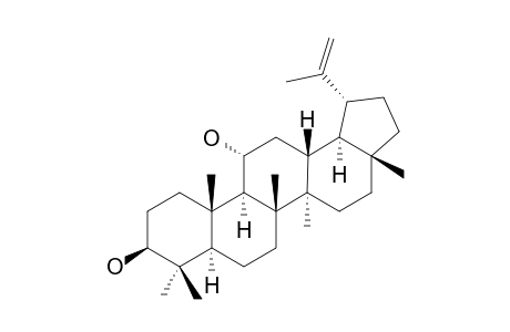 NEPETICIN