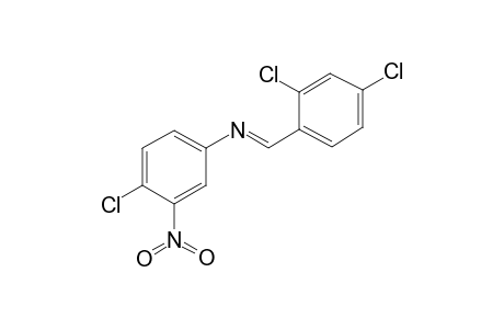 4-Chloro-N-[(E)-(2,4-dichlorophenyl)methylidene]-3-nitroaniline