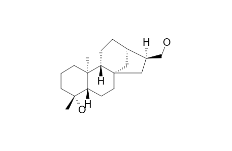 ANNOSQUAMOSIN-C;16-ALPHA-HYDRO-17-HYDROXY-19-NOR-ENT-KAURAN-4-ALPHA-OL