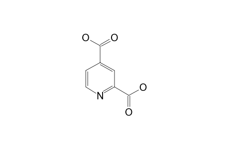 2,4-Pyridinedicarboxylic acid