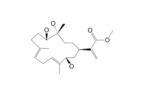 DENDRONPHOLIDE_C