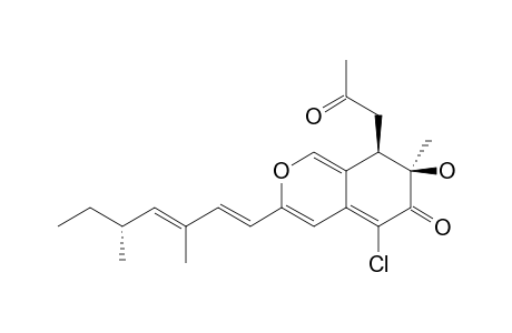 ISOCHROMOPHILONE-IIB