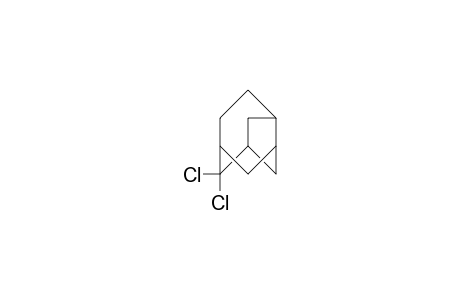 10,10-Dichloro-protadamantane