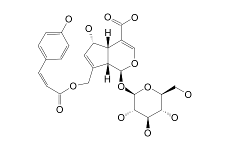 10-O-CIS-PARA-COUMAROYLDESACETYLASPERULOSIDE