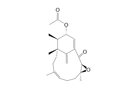 IBSXXTMZOQECOR-XCVGABSUSA-N