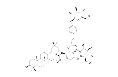 28-O-[GLUCOPYRANOSYL-(1->3)-2-[3-GLUCOPYRANOSYL-(1->4)-PHENYL]-XYLOPYRANOSYL]-ECHINOCYSTIC-ACID-ESTER