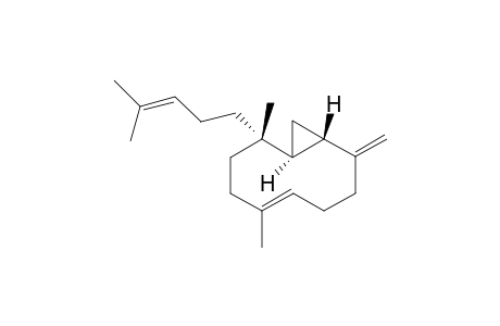 PACIFICIN_I