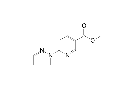 6-(PYRAZOL-1-YL)NICOTINIC ACID, METHYL ESTER