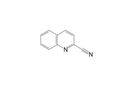 quinaldonitrile