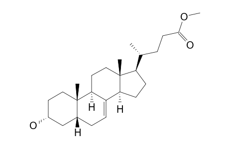 3-HYDROXY-METHYL-5-BETA-CHOL-7-ENOATE