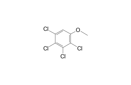 2,3,4,5-Tetrachloroanisole