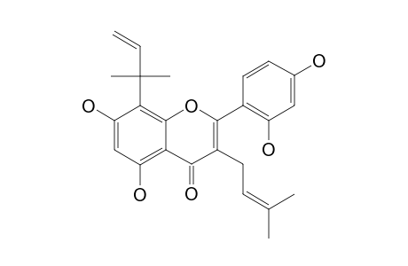 NIGRASIN_I;2-(2,4-DIHYDROXYPHENYL)-3-(3-METHYL-2-BUTEN-1-YL)-5,7-DIHYDROXY-8-(1,1-DIMETHYL-2-PROPEN-1-YL)-4-H-1-BENZOPYRAN-4-ONE