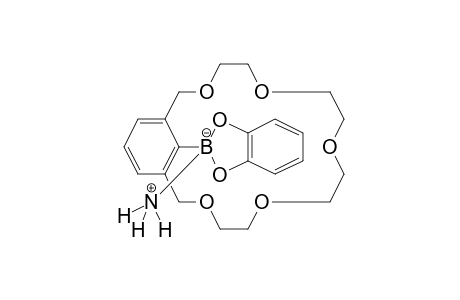 1,3-Xylyl-18-krone-5, 2-(benzo-1,3,2-dioxaborol-2-yl)-, *(15)NH3