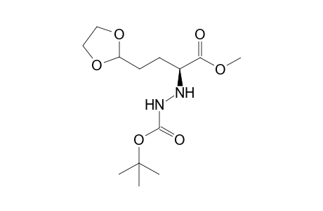 Protected hydrazine