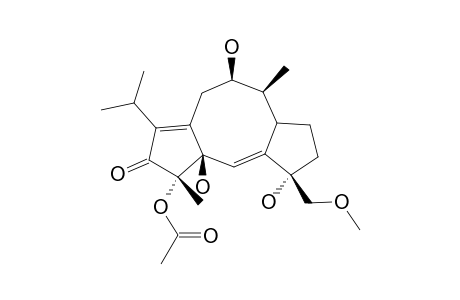 BRASSICICENE-E