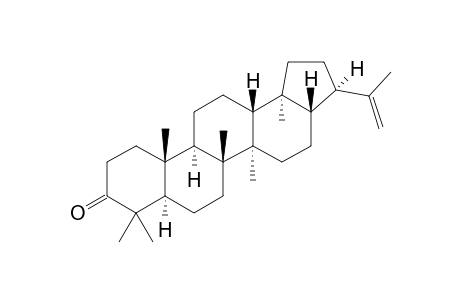 MORETENONE;3-OXO-21-ALPHA-H-HOP-22(29)-EN