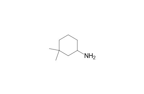 1-AMINO-3,3-DIMETHYL-CYCLOHEXANE