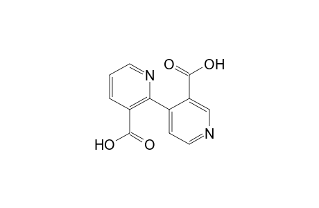 [2,4'-BIPYRIDINE]-3,3'-DICARBOXYLIC ACID