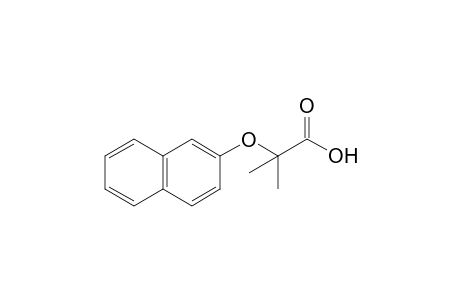 2-methyl-2-[(2-naphthyl)oxy]propionic acid