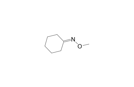 Cyclohexanone O-methyl-oxime