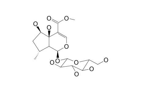 PENSTEMOSIDE