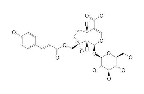 10-PARA-TRANS-COUMAROYL-1-S-DIHYDROMONOTROPEIN