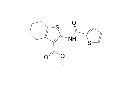 methyl 2-[(2-thienylcarbonyl)amino]-4,5,6,7-tetrahydro-1-benzothiophene-3-carboxylate