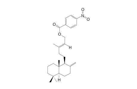 LABDA-8(17),13E-DIEN-15-YL-PARA-NITROBENZOATE