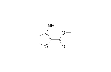 3-Amino-2-thiophenecarboxylic acid, methyl ester