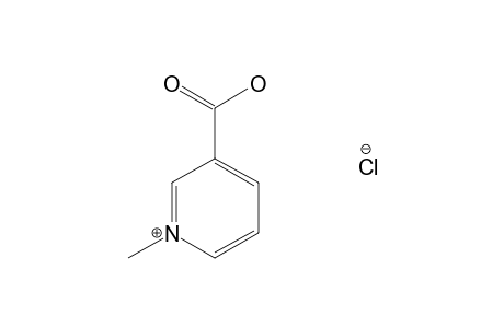 Trigonelline chloride