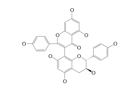 WIKSTROL-B